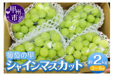 葡萄の里 シャインマスカット 約2kg（3～5房）【2025年発送】（HK）B15-444