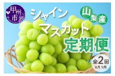 【定期便全2回】 甲州市 シャインマスカット定期便 産地直送 瑞々しい美味しさのまま発送！【2025年発送】（VYD）C2-885【シャインマスカット 葡萄 ぶどう ブドウ 令和7年発送 期間限定 山梨県産 定期便 甲州市 フルーツ 果物】