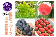 【定期便】贅沢な味わい少量くだもの4回定期便（KSB）D5-131【もも ブラックビート シャインマスカット 葡萄 ぶどう 令和7年発送 期間限定 山梨県産 甲州市 フルーツ 果物】