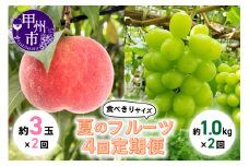 【定期便】食べきりサイズ 夏のフルーツ4回定期便【2025年発送】（KSB）D6-130【 桃 もも モモ シャインマスカット 葡萄 ぶどう ブドウ 令和7年発送 期間限定 山梨県産 甲州市 フルーツ 果物 】