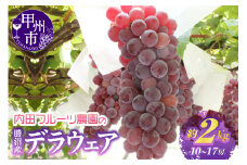 内田フルーツ農園のデラウェア 約2kg【2025年発送】（UF）A07-160【デラウェア ぶどう 葡萄 ブドウ 令和7年発送 期間限定 山梨県産 甲州市 フルーツ 果物】