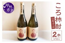 ころ柿酎（リキュール）2本（EZS）B12-725