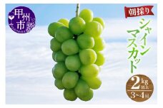 【農家直送】シャインマスカット 2kg以上（3～4房入）【2025年発送】（ABE）C-910 【シャインマスカット 葡萄 ぶどう ブドウ 令和7年発送 期間限定 山梨県産 甲州市 フルーツ 果物】