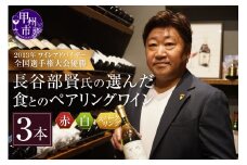2013年ワインアドバイザー全国選手権大会優勝 日本ソムリエ協会認定ソムリエ・エクセレンス 長谷部賢氏の選んだ食とのペアリングワインお手軽セット（KBO）D1-602