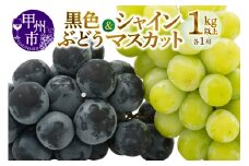 甲州市産旬の葡萄2房入り2色セット 1kg以上【2025年発送】（MG）B-493【シャインマスカット 葡萄 ぶどう ブドウ 令和7年発送 期間限定 山梨県産 甲州市 フルーツ 果物】