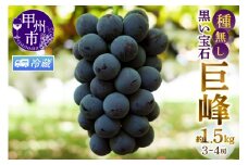 【クール便発送】甲州市産種無し巨峰 約1.5kg（3房～4房）【2025年発送】（MG）B12-471CO 【巨峰 ぶどう 葡萄 ブドウ 令和7年発送 期間限定 山梨県産 甲州市 フルーツ 果物】