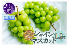 【クール配送】厳選契約農家の一級品 シャインマスカット 1.2kg以上 2～3房【2025年発送】（SFL）B12-430CO 【シャインマスカット 葡萄 ぶどう ブドウ 令和7年発送 期間限定 山梨県産 甲州市 フルーツ 果物】