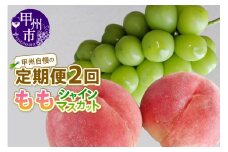 【定期便】甲州自慢の桃＋シャインマスカット定期便【2025年発送】（NK）C-421 【桃 もも シャインマスカット 葡萄 ぶどう 令和7年発送 期間限定 山梨県産 甲州市 フルーツ 果物】