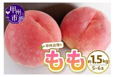 甲州自慢の桃 約1.5kg（5～6玉入り）【2025年発送】（NK）A08-420 【桃 もも モモ 令和7年発送 期間限定 山梨県産 甲州市 フルーツ 果物】
