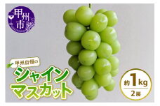 甲州自慢のシャインマスカット 約1kg (2房入り)【2025年発送】（NK）A08-421 【シャインマスカット 葡萄 ぶどう ブドウ 令和7年発送 期間限定 山梨県産 甲州市 フルーツ 果物】