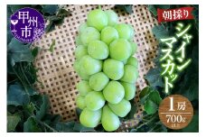 【農家直送】シャインマスカット 1房 700g以上 大房【2025年発送】（ABE）A09-901 【シャインマスカット 葡萄 ぶどう ブドウ 令和7年発送 期間限定 山梨県産 甲州市 フルーツ 果物】