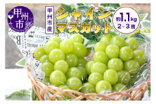 山梨の自然が産んだスイートエメラルド甲州市産シャインマスカット！約1.1kg 2～3房【2025年発送】（UD）B-867 【シャインマスカット 葡萄 ぶどう ブドウ 令和7年発送 期間限定 山梨県産 甲州市 フルーツ 果物】