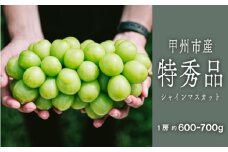 甲州市シャインマスカット『選び抜かれた極上の一房』約600g～700g 1房【2025年発送】（SHP）C7-450【シャインマスカット 葡萄 ぶどう 特秀品 令和7年発送 期間限定 山梨県産 甲州市 フルーツ 果物】