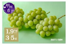 【数量限定】高品質なROOTS FARMシャインマスカット 1.9kg以上 3～5房入【2025年発送】（RO）C1-135【シャインマスカット 葡萄 ぶどう ブドウ 令和7年発送 期間限定 山梨県産 甲州市 ギフト フルーツ 】