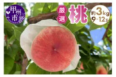 厳選桃 約3kg（9～12玉）【2025年発送】（SFN）B15-1010 【桃 もも モモ 令和7年発送 期間限定 山梨県産 甲州市 フルーツ 果物】