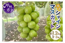 厳選シャインマスカット 約1.2kg（2～3房）【2025年発送】（SFN）B-1012 【シャインマスカット 葡萄 ぶどう ブドウ 令和7年発送 期間限定 山梨県産 甲州市 フルーツ 果物】