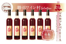 マスカットべーリーA ストレートジュース6本セット（KWV)E2-621