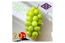 シャインマスカット 約2.0kg（3～4房）山梨県甲州市 産地直送【2025年発送】（ORJ）B17-801【シャインマスカット 葡萄 ぶどう ブドウ 令和7年発送 期間限定 山梨県産 甲州市 フルーツ 果物】