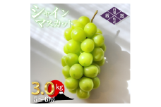 シャインマスカット 約3.0kg（5～6房）山梨県甲州市 産地直送【2025年発送】（ORJ）C5-802 【シャインマスカット 葡萄 ぶどう ブドウ 令和7年発送 期間限定 山梨県産 甲州市 フルーツ 果物】