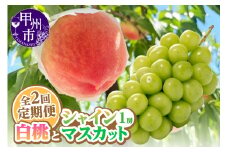 【定期便】旬を味わい尽くせ!!白桃とシャインマスカットの全2回【2025年発送】（AGB）B-877 【白桃 桃 もも モモ シャインマスカット 葡萄 ぶどう 令和7年発送 期間限定 山梨県産 甲州市 フルーツ 果物】