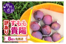【訳あり】童夢のすもも「貴陽」化粧箱 8玉（約1.6～1.9kg）【2025年発送】（DOM）A08-142 【貴陽 すもも スモモ 令和7年発送 期間限定 山梨県産 甲州市 フルーツ 果物】