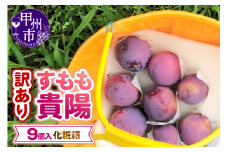 【訳あり】童夢のすもも「貴陽」化粧箱 9玉（約1.35～1.7kg）【2025年発送】（DOM）A07-141 【貴陽 すもも スモモ 令和7年発送 期間限定 山梨県産 甲州市 フルーツ 果物】