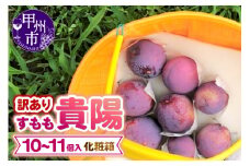 【訳あり】童夢のすもも「貴陽」化粧箱 10～11玉（約1.1～1.4kg）【2025年発送】（DOM）A05-141 【貴陽 すもも スモモ 令和7年発送 期間限定 山梨県産 甲州市 フルーツ 果物】
