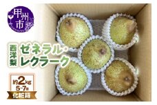 童夢の西洋梨「ゼネラル・レクラーク」化粧箱 約2kg（5～7個）【2025年発送】（DOM）B-1450