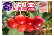 甲州市産大粒さくらんぼ童夢の「紅秀峰」化粧箱（約500g 2L～3Lサイズ）【2025年発送】（DOM）C5-142