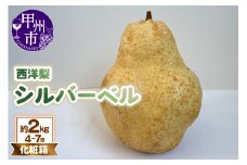 童夢の西洋梨「シルバーベル」化粧箱 約2kg（4～7個）【2025年発送】（DOM）B-1452