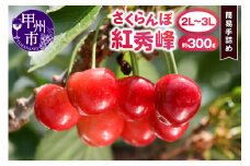 甲州市産大粒さくらんぼ 童夢の「紅秀峰」簡易手詰め（約300g 2L～3Lサイズ）【2025年発送】（DOM）B13-141