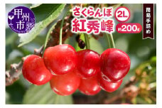 甲州市産大粒さくらんぼ 童夢の「紅秀峰」簡易手詰め（約200g 2Lサイズ）【2025年発送】（DOM）A08-141