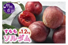 甲州市産すもも ソルダム 約1.2kg【2025年発送】（KSB）B11-132 【すもも ソルダム 桃 もも モモ 令和7年発送 期間限定 山梨県産 甲州市 フルーツ 果物】