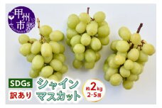 SDGs 訳あり シャインマスカット 約2.0kg（2～5房）【2025年発送】（KSB）B17-131 【シャインマスカット 葡萄 ぶどう ブドウ 令和7年発送 期間限定 山梨県産 甲州市 フルーツ 果物】