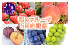 【定期便】甲州市産 旬のフルーツ5回定期便（KSB）E4-101【いちご 桃 モモ 貴陽 すもも 黒ぶどう シャインマスカット 葡萄 令和7年発送 期間限定 山梨県産 甲州市 フルーツ 果物】