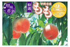 甲州市産 桃 約2kg 6～8玉（特選）【2025年発送】（OGN）B15-1801【桃 もも モモ 令和7年発送 期間限定 山梨県産 甲州市 フルーツ 果物】