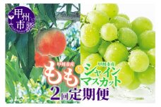【定期便】甲州市フルーツ定期便 桃 約2kg 6～8玉・シャインマスカット 約1.2kg 2～3房【2025年発送】（OGN）C7-1801【桃 もも シャインマスカット 葡萄 ぶどう 令和7年発送 期間限定 山梨県産 甲州市 フルーツ 果物】