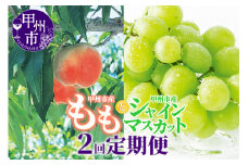 【定期便】甲州市フルーツ定期便 桃 約2kg 6～8玉・シャインマスカット 約1.2kg 2～3房【2025年発送】（OGN）C7-1801【桃 もも シャインマスカット 葡萄 ぶどう 令和7年発送 期間限定 山梨県産 甲州市 フルーツ 果物】