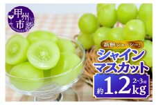 新鮮ジューシー！シャインマスカット 約1.2kg 2～3房【2025年発送】（MKN）B11-500 【シャインマスカット 葡萄 ぶどう ブドウ 令和7年発送 期間限定 山梨県産 甲州市 フルーツ 果物】