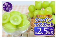 新鮮ジューシー！シャインマスカット 約2.5kg 3～6房【2025年発送】（MKN）C5-500 【シャインマスカット 葡萄 ぶどう ブドウ 令和7年発送 期間限定 山梨県産 甲州市 フルーツ 果物】