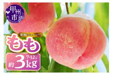新鮮ジューシー！桃 約3kg 7～12玉【2025年発送】（MKN）B19-500 【桃 もも モモ 令和7年発送 期間限定 山梨県産 甲州市 フルーツ 果物】