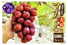 【朝採り直送】大粒マイハート（種無し）600g以上【3Lサイズ】【2025年発送】（AF）B11-450 【大粒マイハート ぶどう 葡萄 ブドウ 令和7年発送 期間限定 山梨県産 甲州市 フルーツ 果物】