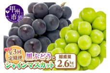 【定期便】訳あり 山梨の黒ぶどうとシャインマスカット全3回【2025年発送】（AGB）C-875 【わけあり シャインマスカット 葡萄 ぶどう ブドウ 令和7年発送 期間限定 山梨県産 甲州市 フルーツ 果物】
