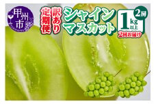 【定期便】訳あり 山梨のシャインマスカット 2房1kg以上 全2回【2025年発送】（AGB）B17-875 【わけあり シャインマスカット 葡萄 ぶどう ブドウ 令和7年発送 期間限定 山梨県産 甲州市 フルーツ 果物】