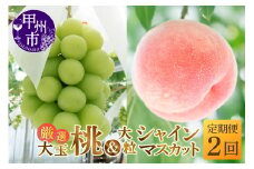 【定期便】大人気！甲州市産厳選旬の大玉桃・大粒シャインマスカット全2回定期便【2026年発送】（MG）C1-482 【桃 もも モモ シャインマスカット 葡萄 ぶどう ブドウ 令和8年発送 期間限定 山梨県産 甲州市 フルーツ 果物】