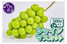 【農林水産大臣賞受賞!!】山梨のシャインマスカット1房500g以上【2025年発送】（AGB）A07-875 【シャインマスカット 葡萄 ぶどう ブドウ 令和7年発送 期間限定 山梨県産 甲州市 フルーツ 果物】