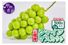 【定期便】【農林水産大臣賞受賞!!】山梨のシャインマスカット 1房500g以上 全2回定期便【2025年発送】（AGB）B13-875 【シャインマスカット 葡萄 ぶどう ブドウ 令和7年発送 期間限定 山梨県産 甲州市 フルーツ 果物】