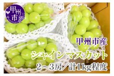 【クール配送】甘さと香り際立つ山梨県甲州市産シャインマスカット 2～3房（合計約1kg）【2025年発送】（KFT）B-1810 【シャインマスカット 葡萄 ぶどう ブドウ 令和7年発送 期間限定 山梨県産 甲州市 フルーツ 果物】