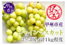【クール配送】訳あり シャインマスカット 2～3房（合計約1kg）【2025年発送】（KFT）A08-1810 【訳あり シャインマスカット 葡萄 ぶどう ブドウ 令和7年発送 期間限定 山梨県産 甲州市 フルーツ 果物】