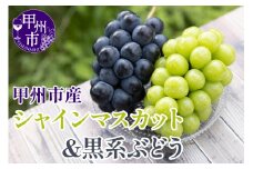 【クール配送】シャインマスカット＆黒系ぶどう 各1房（2房合計約1kg）【2025年発送】（KFT）B11-1810 【シャインマスカット 葡萄 ぶどう ブドウ 令和7年発送 期間限定 山梨県産 甲州市 フルーツ 果物】